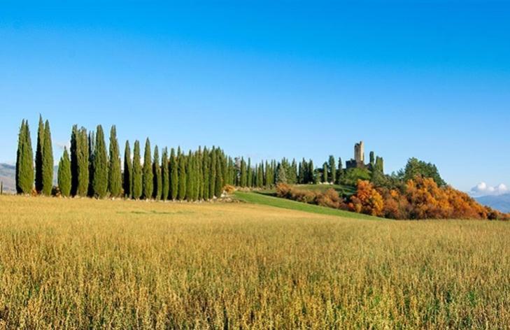 Apartmán Da Nonna Gio' Pratovecchio Exteriér fotografie